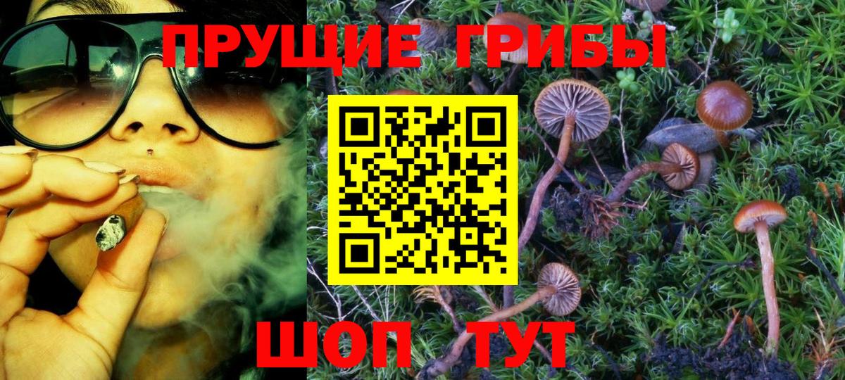 Псилоцибиновые грибы Psilocybine cubensis Нижнеудинск